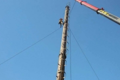 11898677_500981240065886_4660658316191823096_n